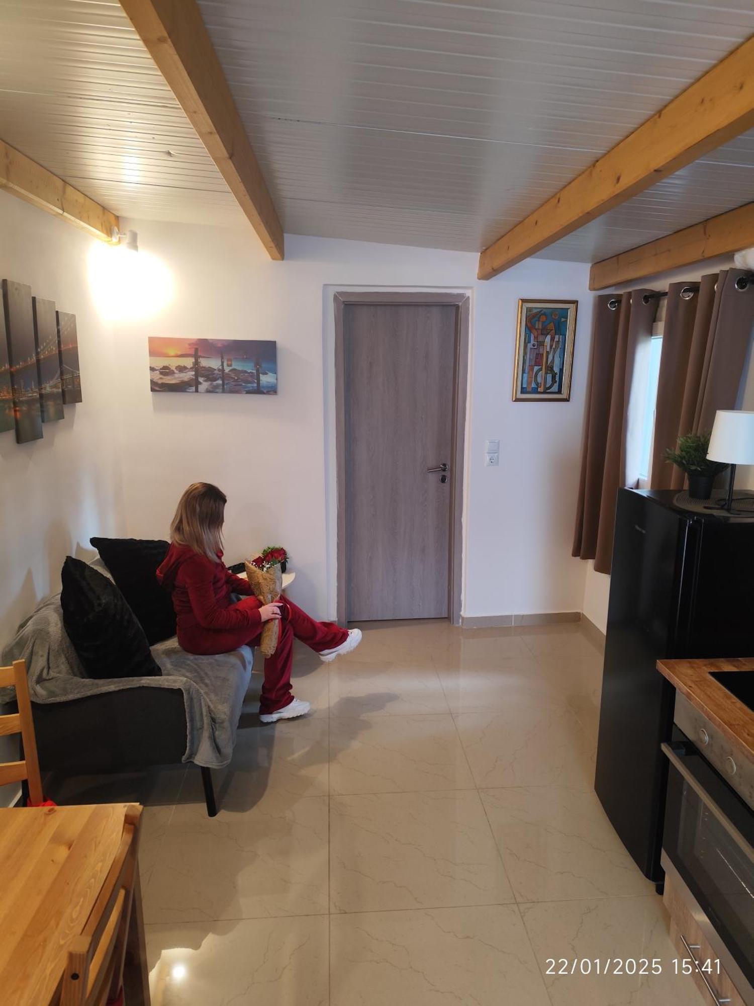 Johnson House Apartment Rafina  Bilik gambar